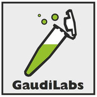 Gaudi Labs