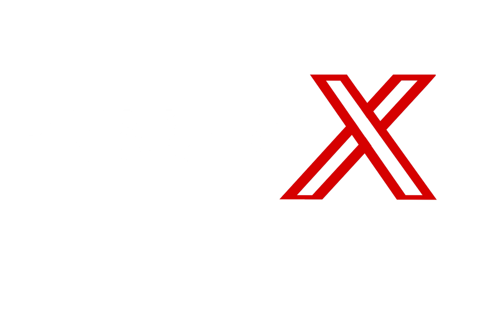 Primary X brand visuals