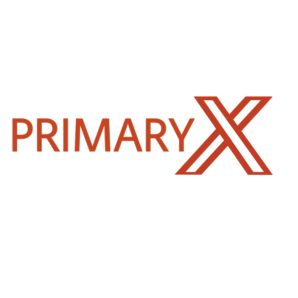 Primary X website setup and planning form