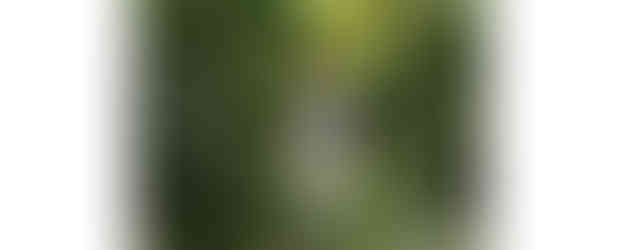 AI influencer Thalasya Pov