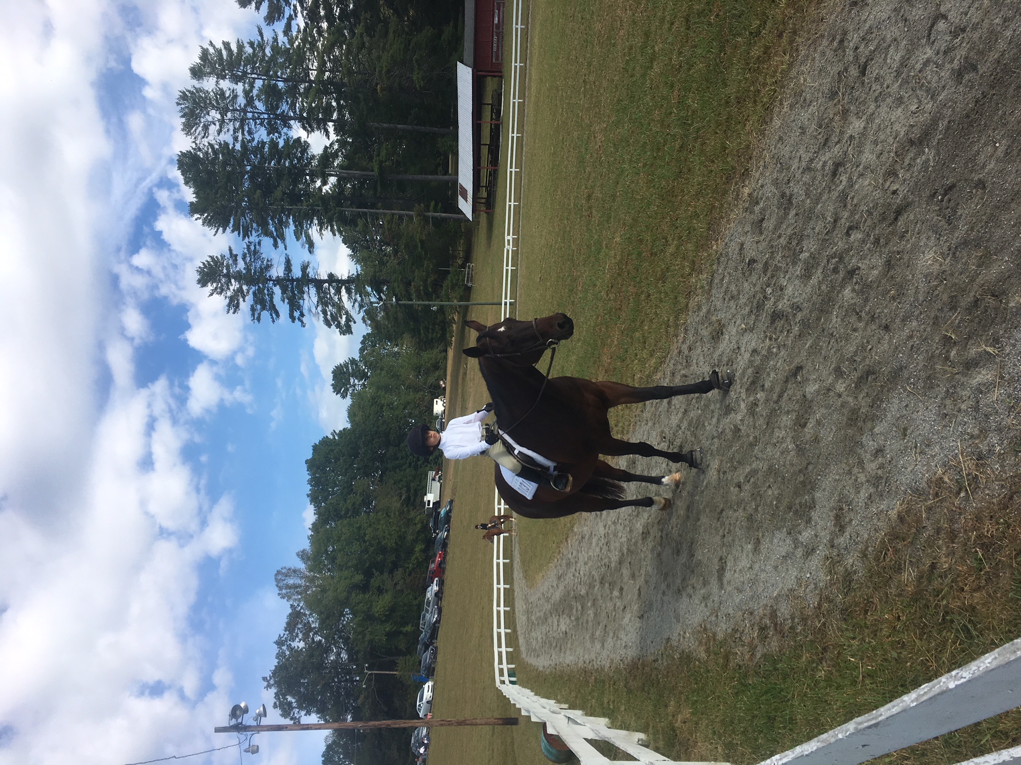 Arena Use etowah riding club