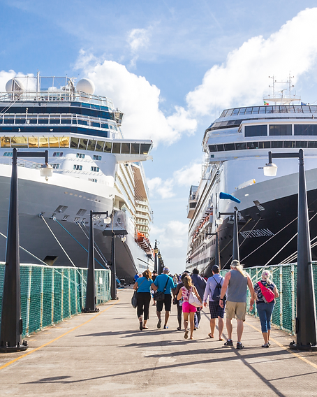 cruise port transfer .png