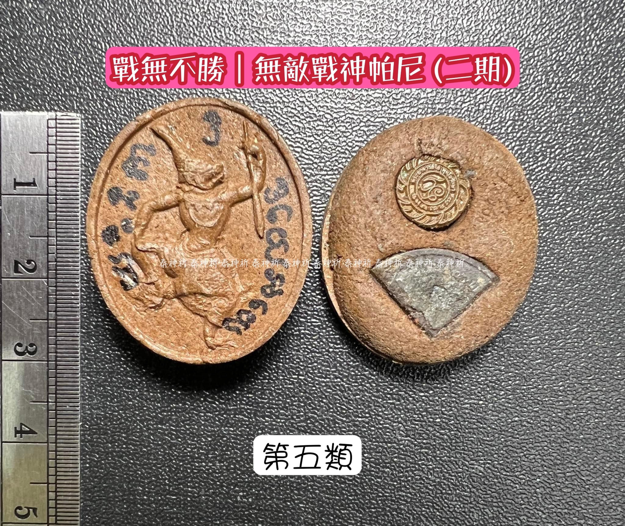 無敵戰神帕尼二期-第五類