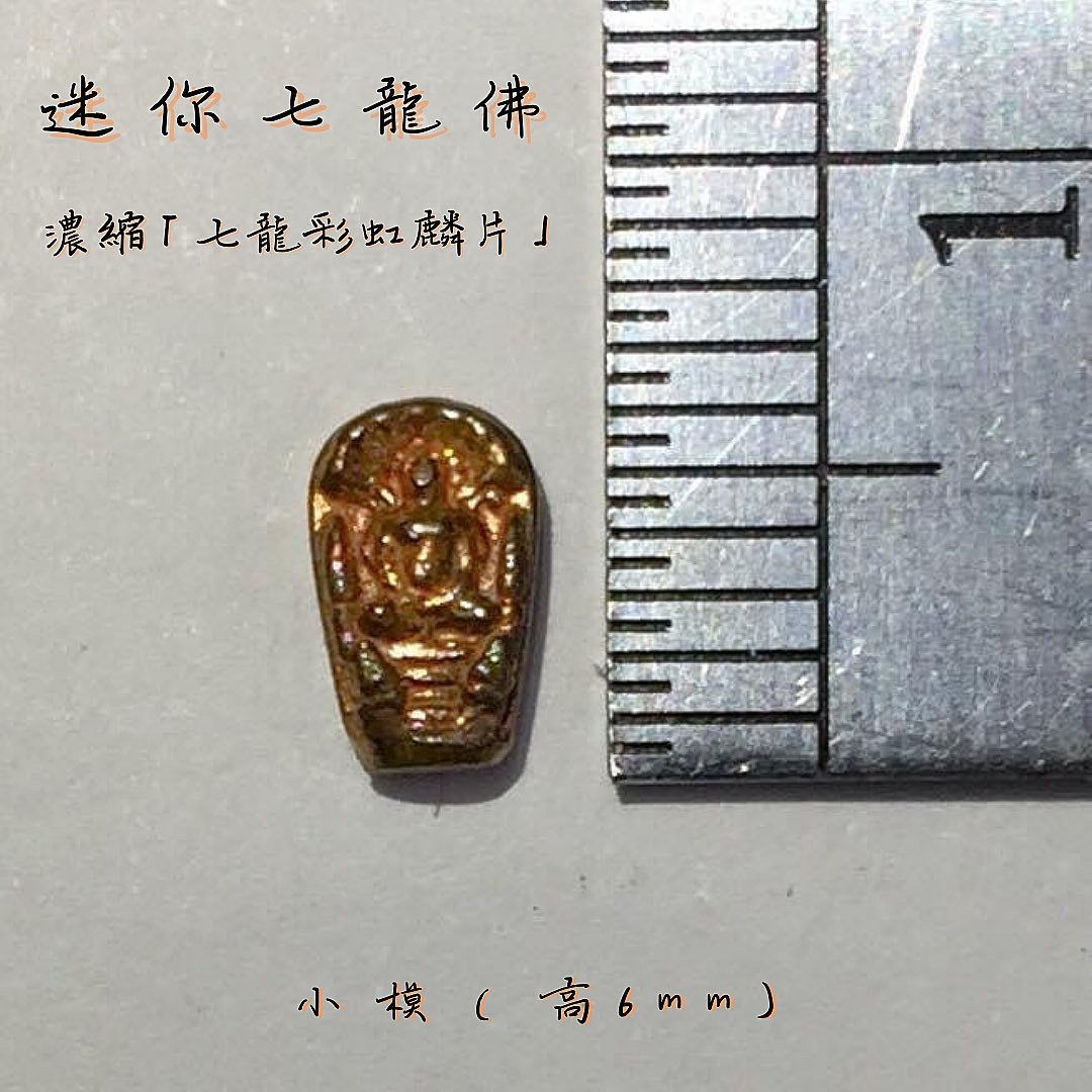 迷你七龍佛｜濃縮「七龍彩虹麟片」6mm