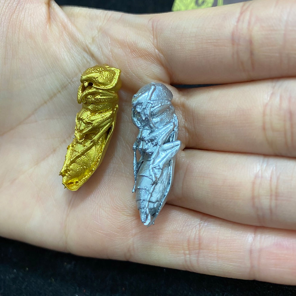 縮圖：古巴磐石 招‮雙財‬蜂