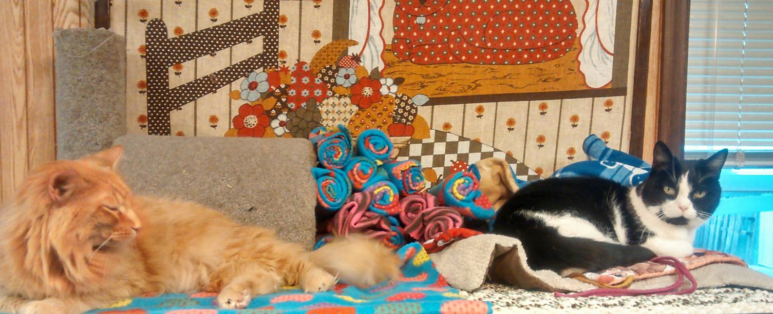 Humane Society of Danville Danville, Illinois