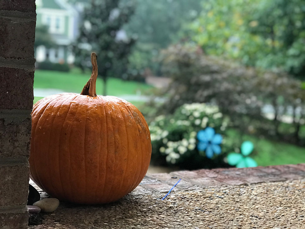 Hey Siri, What Should I be for Halloween?