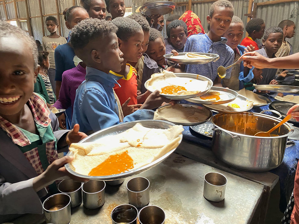 feeding program roggie