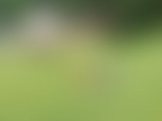 ¿Por qué no obligo a mis hijas a pedir perdón o a disculparse? (y a otr@s niñ@s)