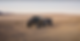 GF4x4truck-Jeep 1.png
