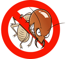 termite-trans-1.png