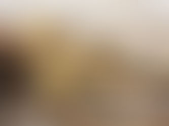 Termite Swarmers or Flying Ants - What Am I Seeing Around My Home?