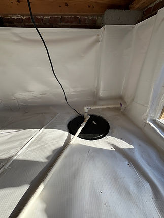Nelon-Cole Pest and Moisture Control Services