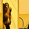 IMG_2751.JPEG