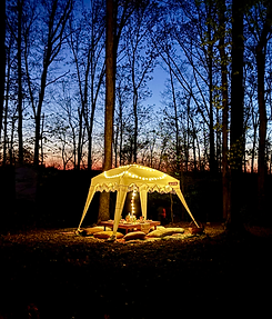 Luxury Picnic set up with lights in tennessee