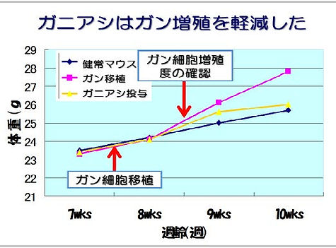 ガン軽減11.jpg