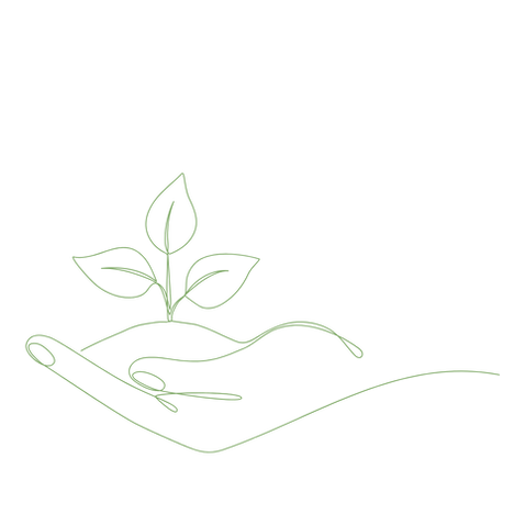 Création sans titre (70).png