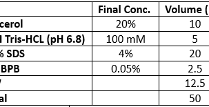 Western Blot (Denaturing Condition) - 1. Sample Preparation