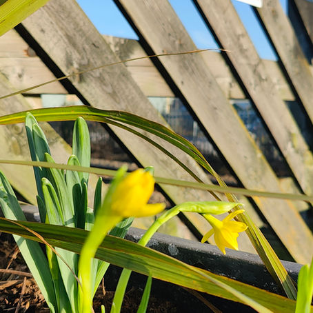Volunteers Get Stuck In at Wakefield Kirkgate