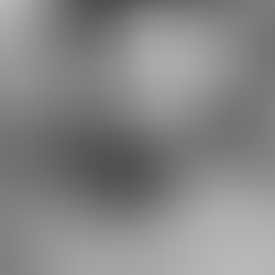 In The LGBT+ History Month Spotlight: Elke Mackenzie – A Trans Trailblazer of Antarctic Science