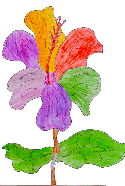 FLOWER.gif