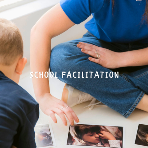 What is School Facilitation?