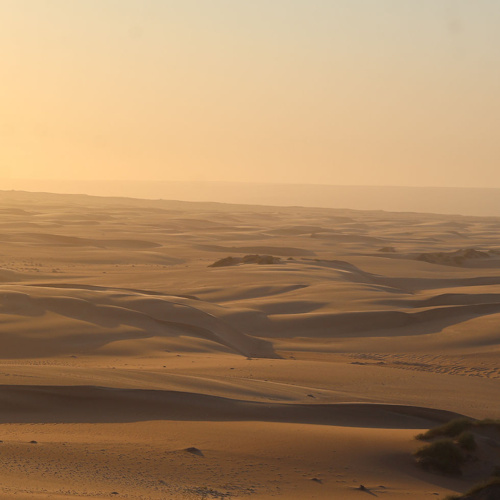 8-Day Skeleton Coast Overlanding Tour: Ultimate December Safari