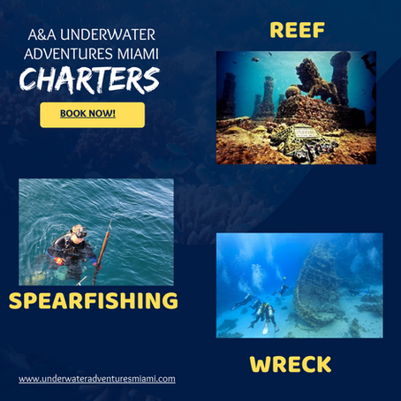 Book an Underwater Adventure Charter Today!