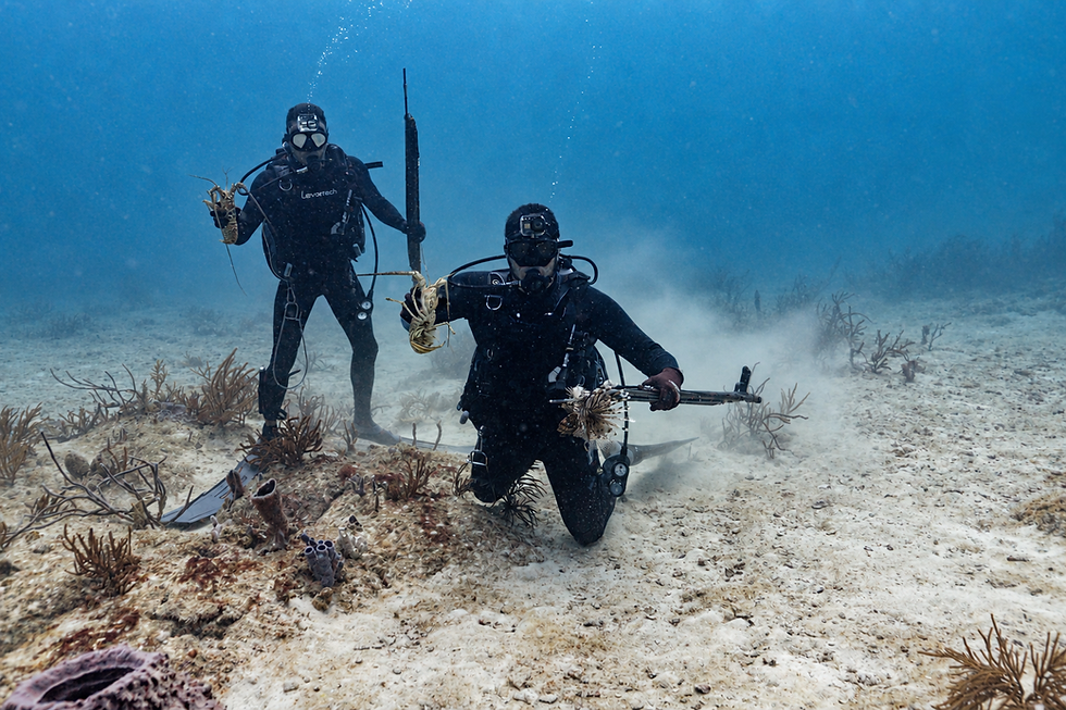 SPEARFISHING