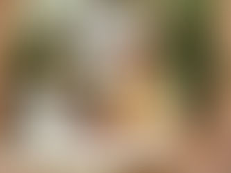 Ein Eine Rentnerin über 50 sitzt lächelnd am Laptop, eine KI-App zeigt Spar- und Einkommensideen – Symbolbild für Rente plus KI.