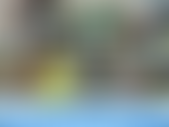 ДЕНЬ ЄДНАННЯ