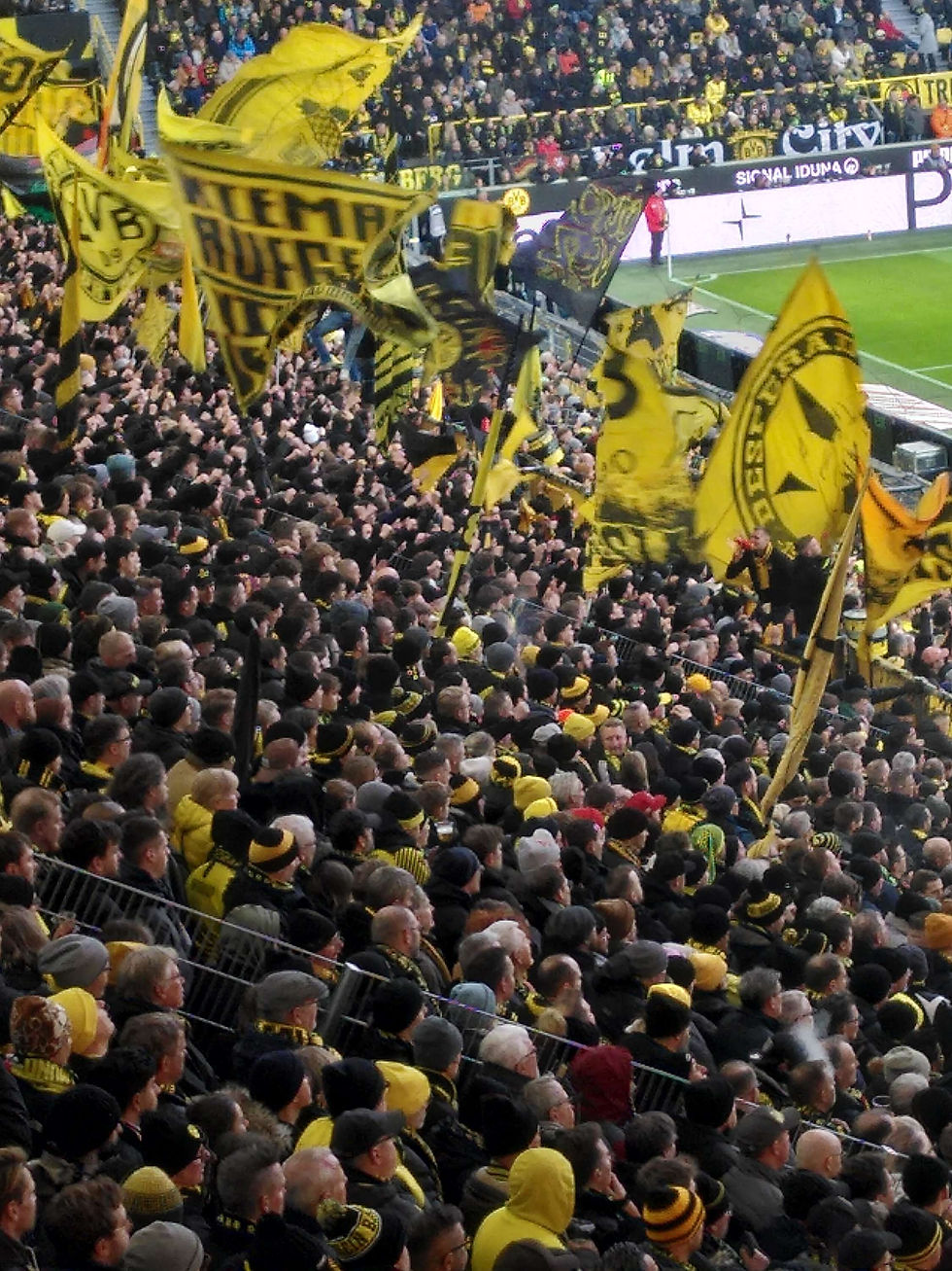 BvB - Stuttgart