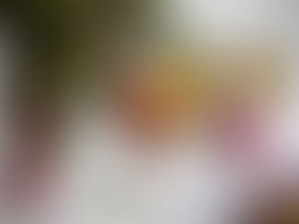 10 Super-Foods for Your Hormonal Balance