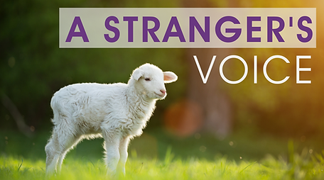 A Stranger's Voice.png