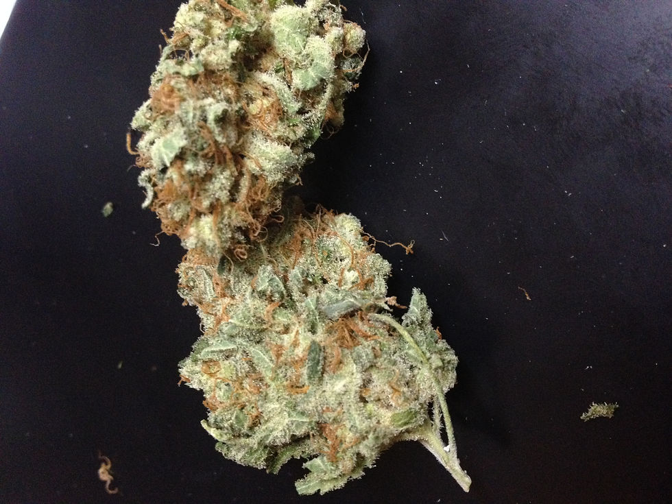 Choco Purps