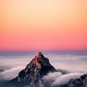 Consciousness Is Reality