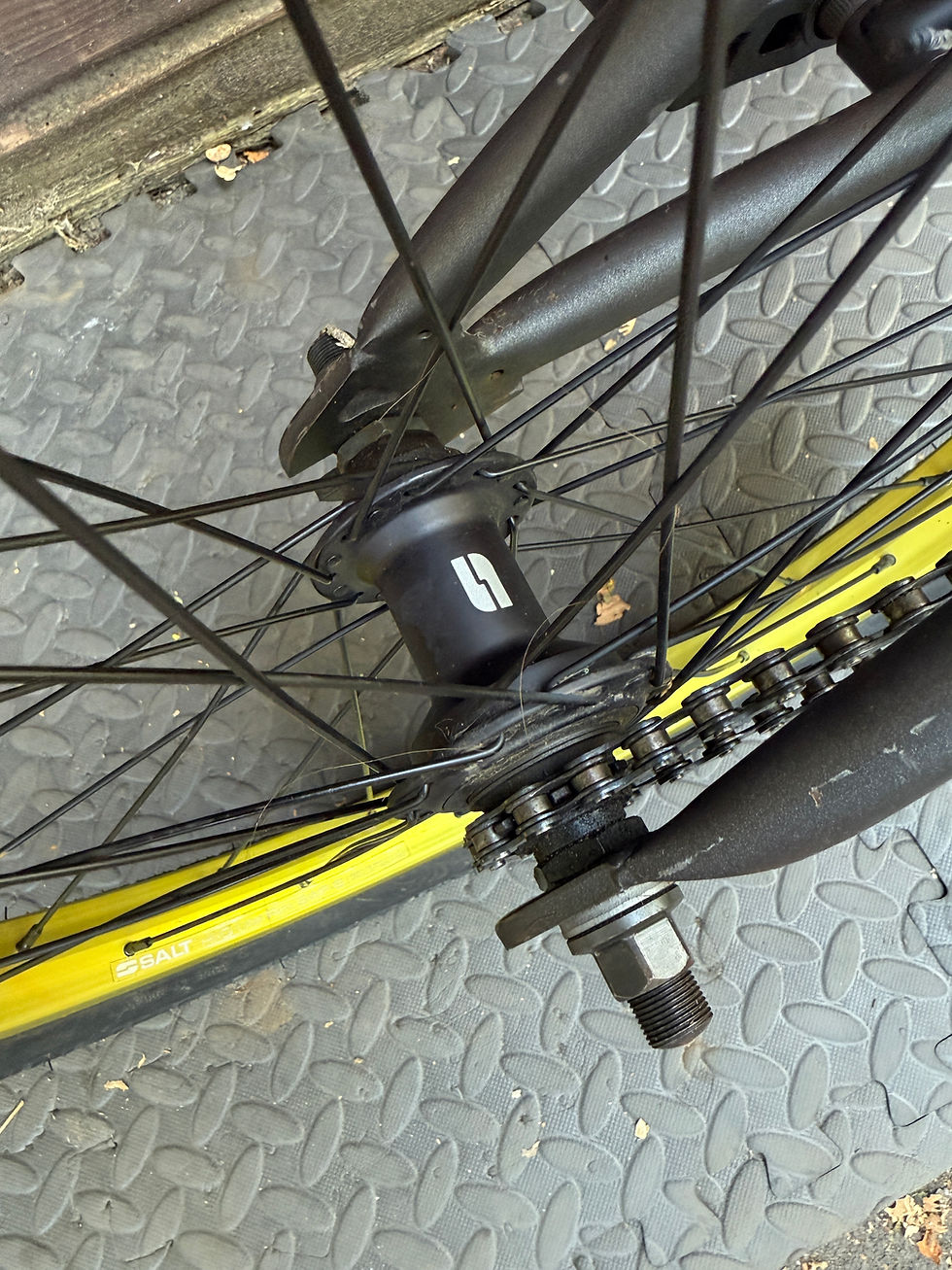 Thumbnail: WeThePeople Justice Custom 20" BMX – Salt / Eclat – Serviced & Ready to Ride