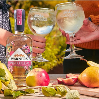 warners gin joules
bottle design creative agency