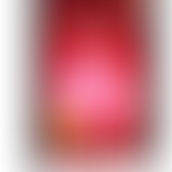 Manifest the Ultimate Life - IN PRINT