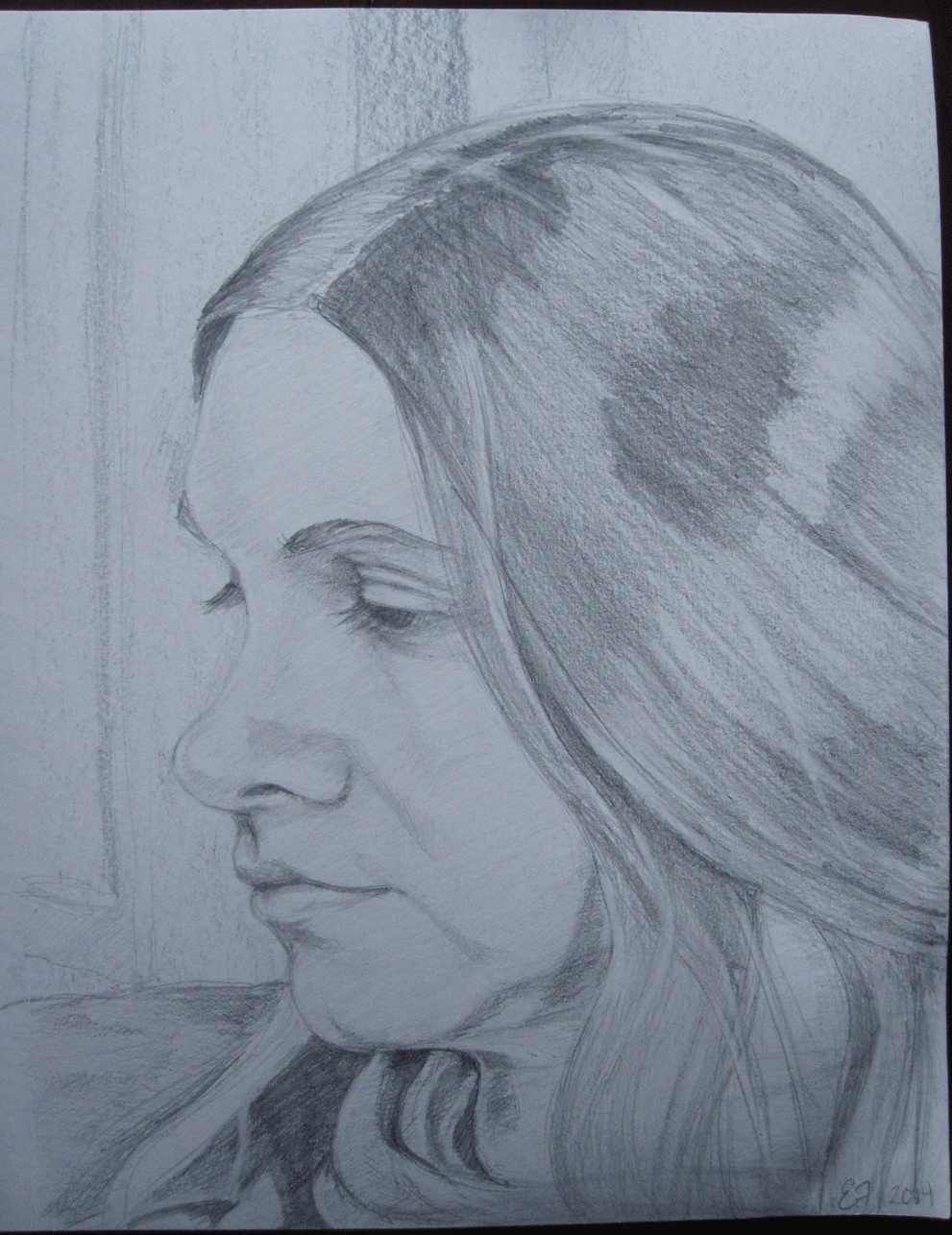 2014-madel.gif