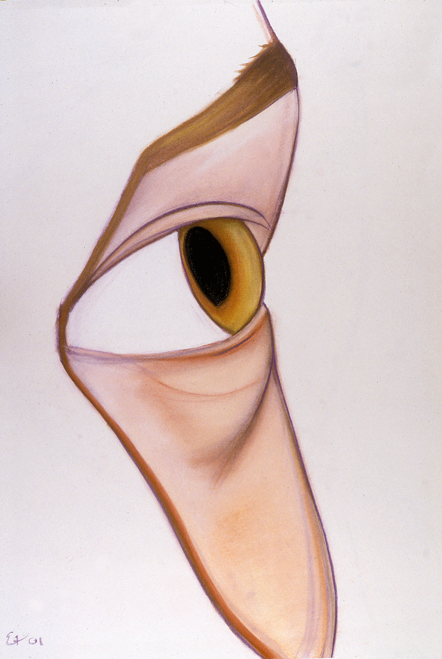 2001-eye.gif
