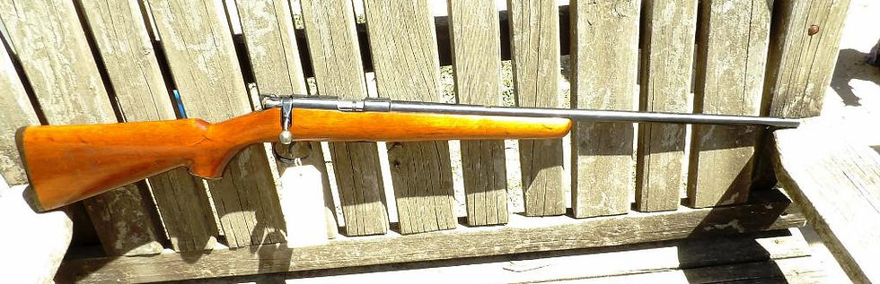 Norinco JW15 in 22LR