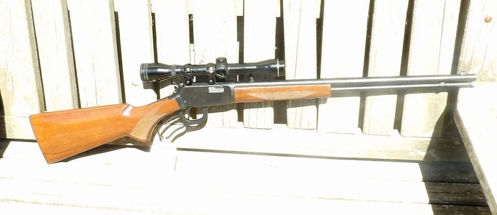 Norinco JW21