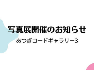 写真展開催のお知らせ あつぎロードギャラリー3