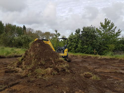 Site scrape