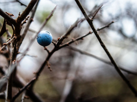 Terminer un accompagnement