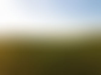 Entre Mer et Montagne : Les Paysages Uniques des Vignobles Catalans