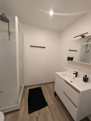 Salle de bain moderne à Villeurbanne avec douche et vasque.