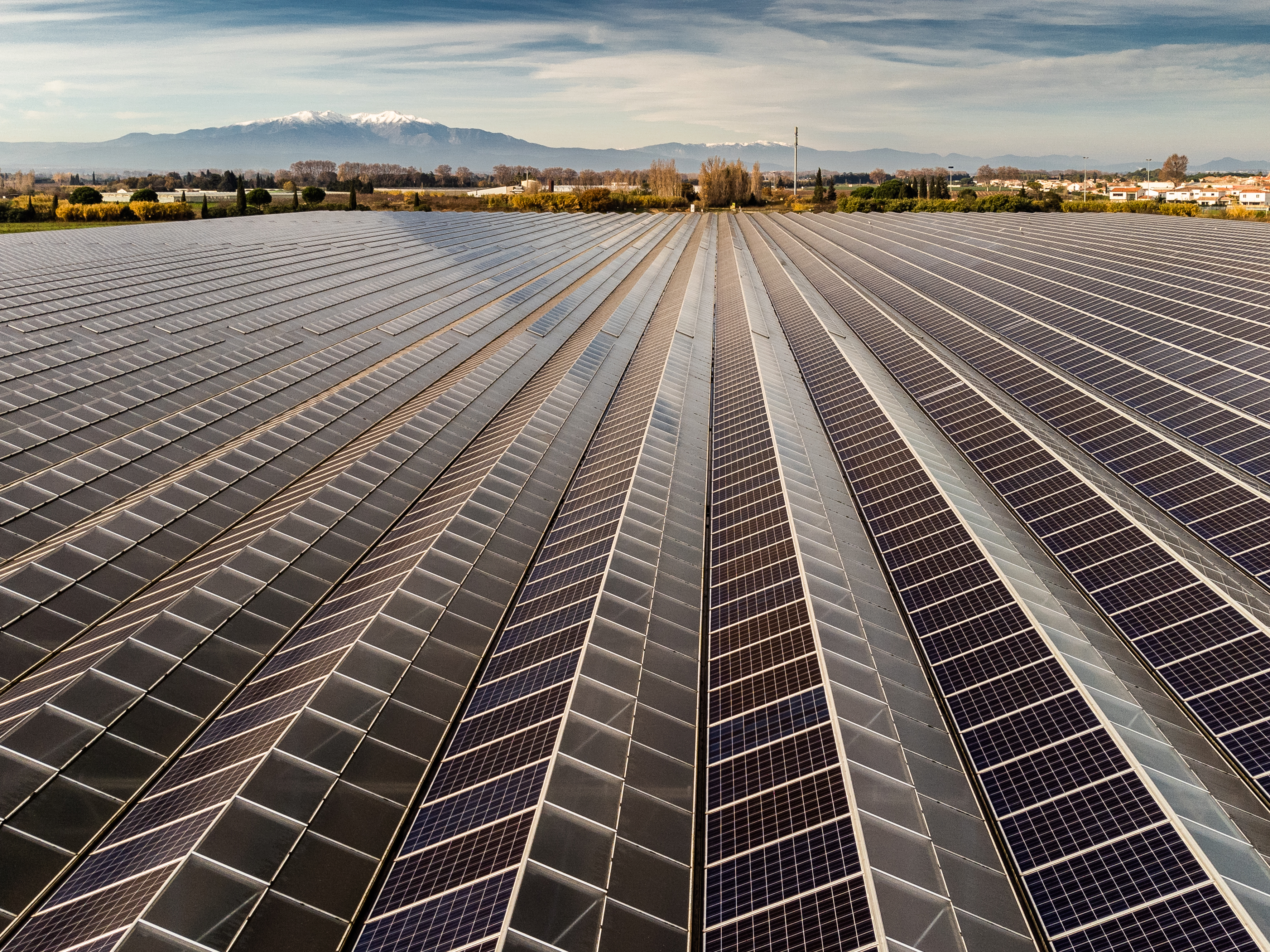 Vue aérienne de serres photovoltaïques en enfilade