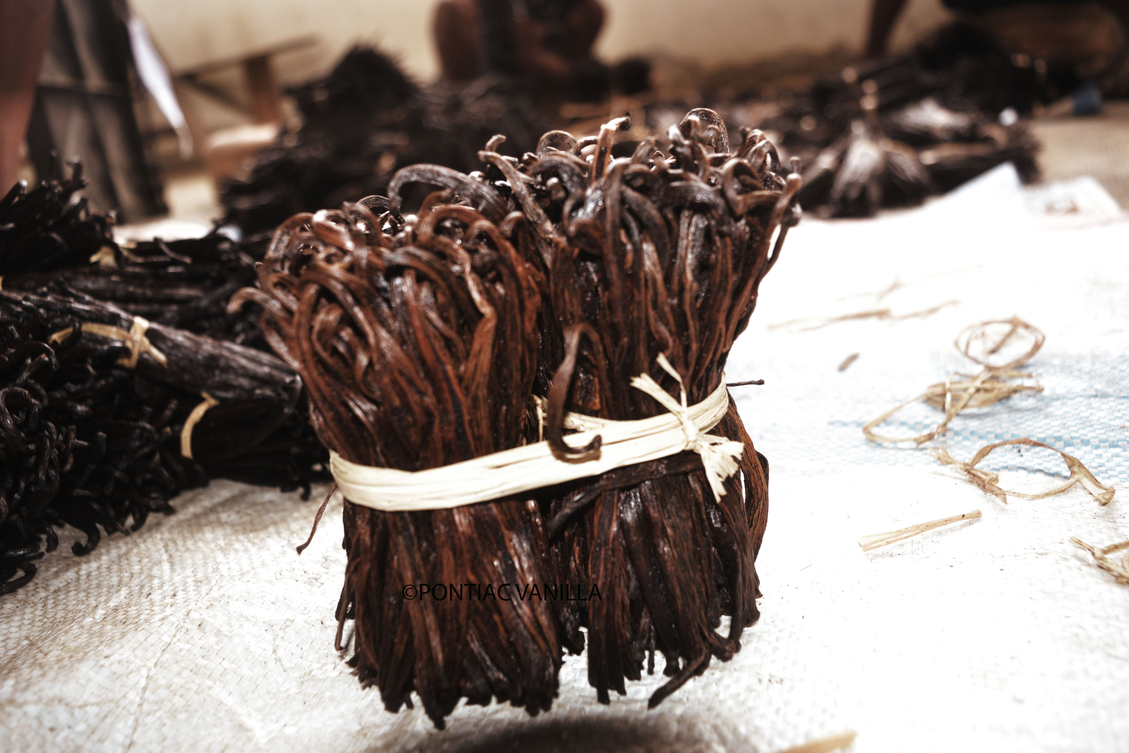 Vainas de vainilla roja tipo Europa y Estados Unidos de Madagascar en kg